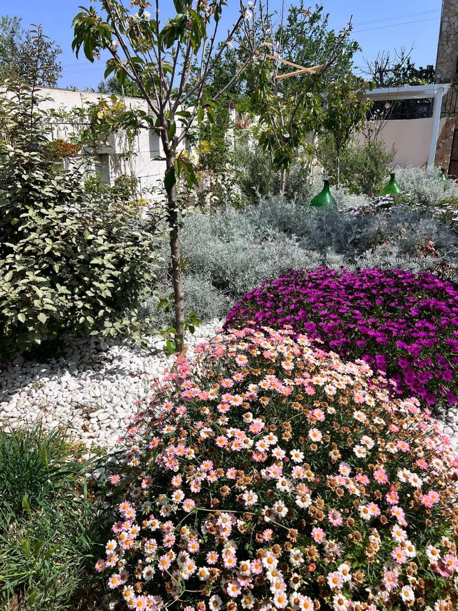 Villa Casa Vacanze Fiore Gallipoli Exteriér fotografie