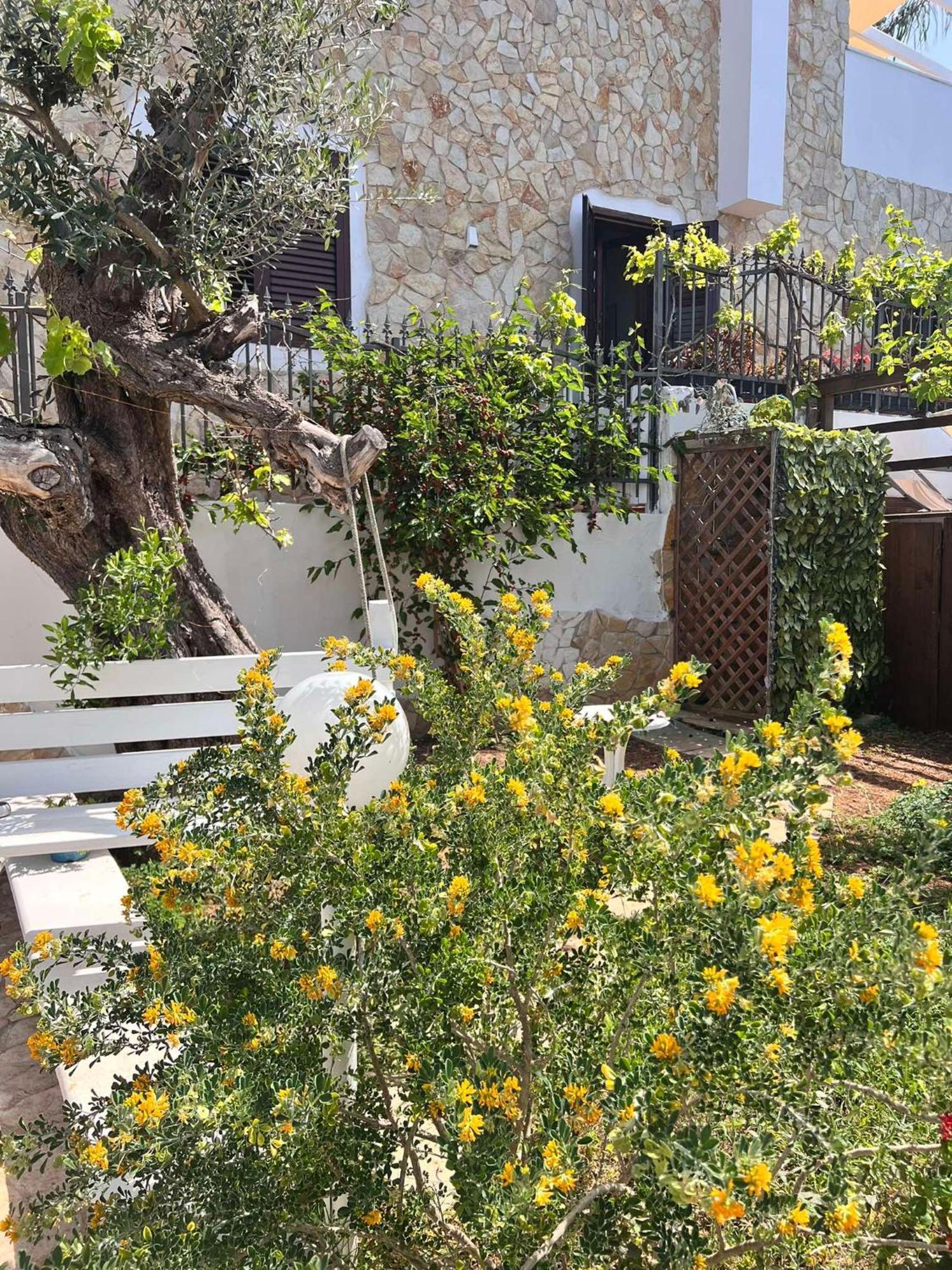 Villa Casa Vacanze Fiore Gallipoli Exteriér fotografie